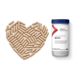 4life transfer factor® bcv+